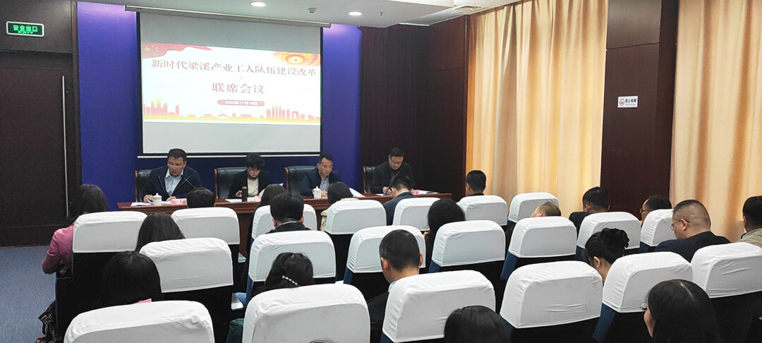 劉潭服裝產業(yè)工人改革會議